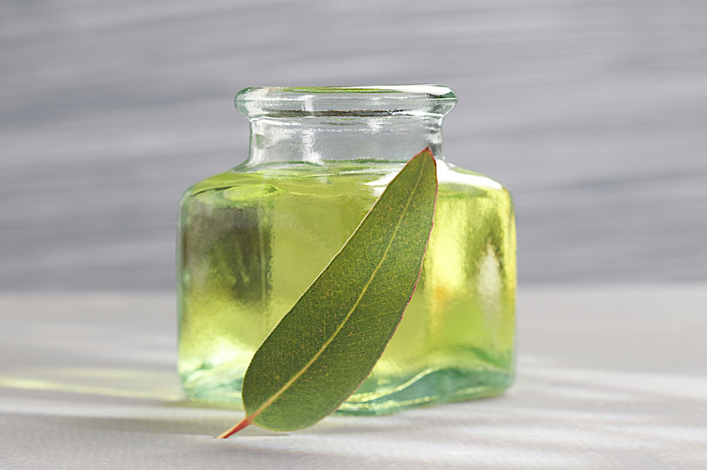 7 Pet-Friendly Essential Oils